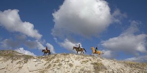 Gansbaai Activities